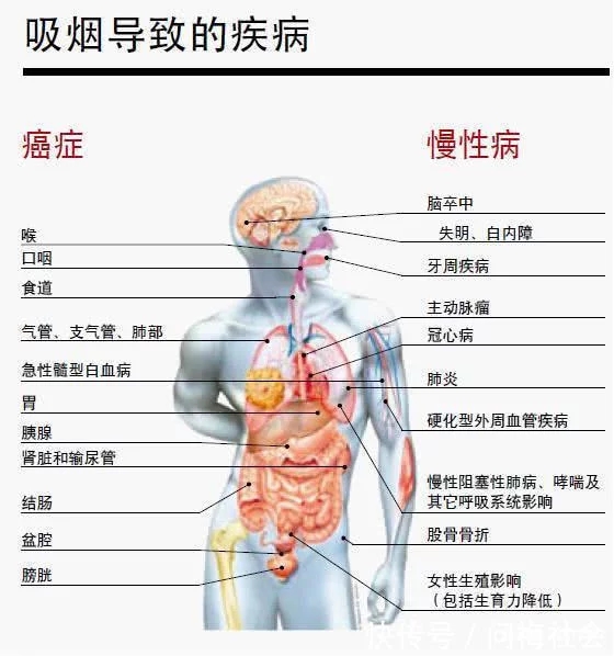 煙的危害.webp.jpg